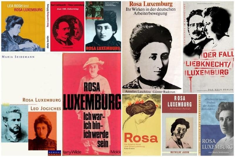 <strong><em>Rosa Lüksemburg</em></strong>